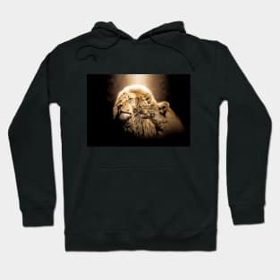 Lion Animal Wildlife Jungle Nature Safari Adventure Discovery Africa Digital Painting Hoodie